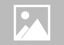 娱乐圈吃瓜鹅李晨